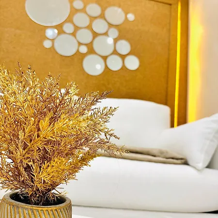 Dubai Privée Avec Espaces Communs